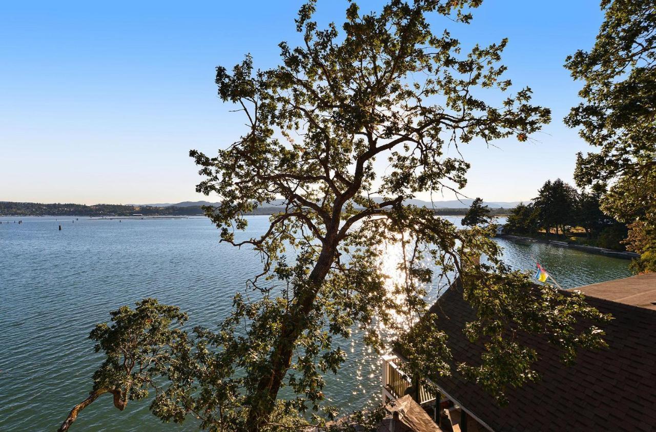 Salishan Tree House Suite Коуичен-Бэй Экстерьер фото
